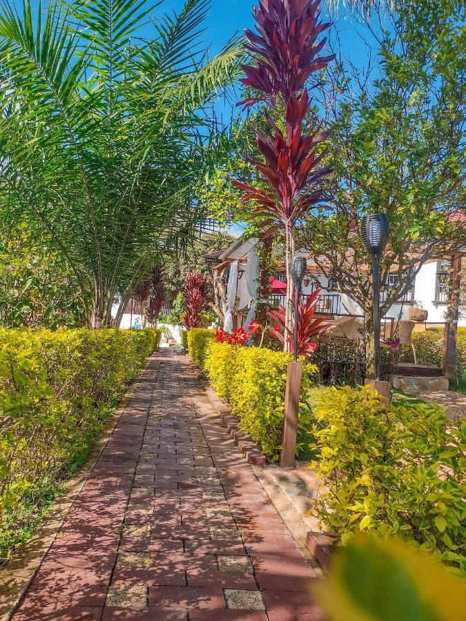 Casona Del Virrey Hotel 3*